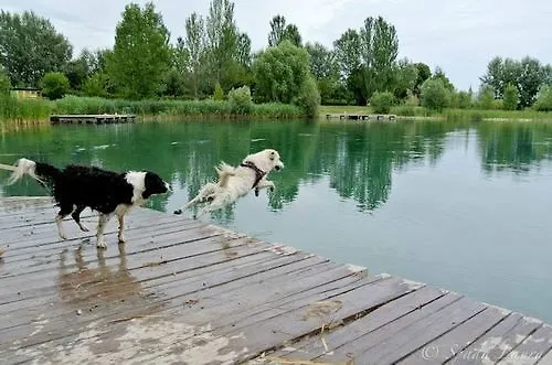 Gasthaus Agriturismo Ai Due Laghi Ponte Azzana 0*,